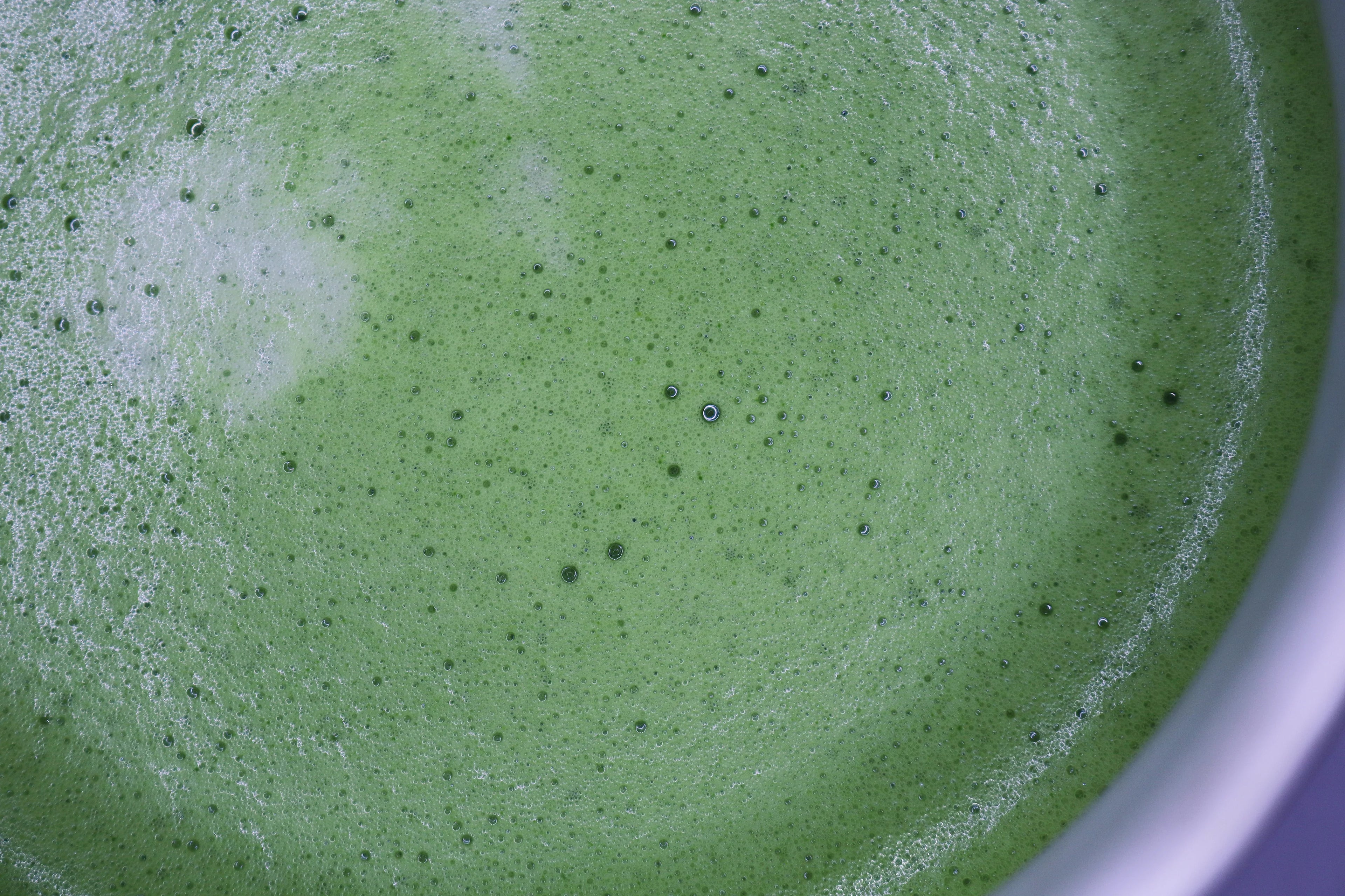 Premium Matcha (Kyoto)