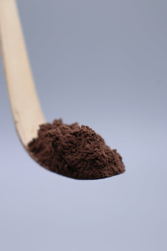 Premium Hojicha